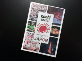 Kochi Kochi, la guía del viajero en Japón