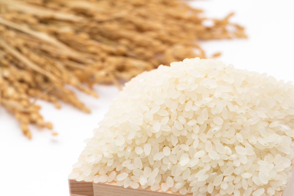 Shari el arroz del sushi