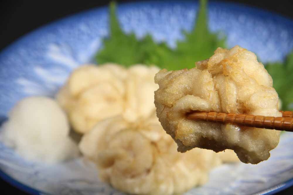 Las 16 comidas más extrañas en Japón